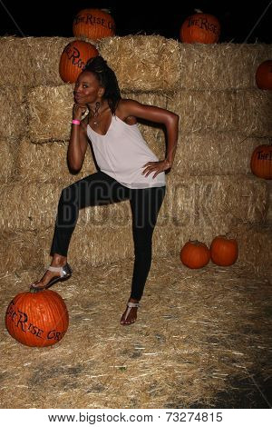 LOS ANGELES - OCT 4:  Erica Ash at the RISE of the Jack O'Lanterns at Descanso Gardens on October 4, 2014 in La Canada Flintridge, CA