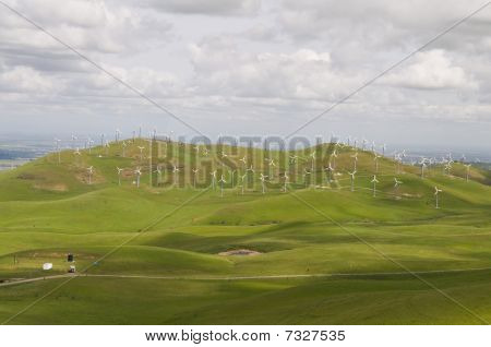 Rüzgar Çiftliği