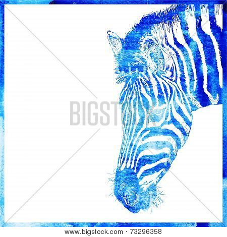 watercolor animal background in a blue color, head of zebra, vec