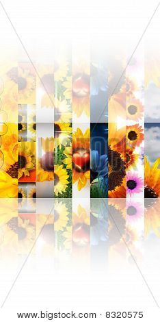 Girasole Collage