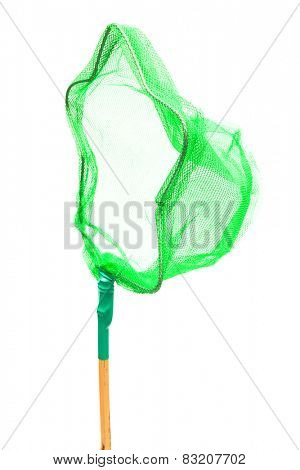beautiful green butterfly net on a white background