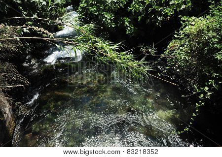 Dan River-israel