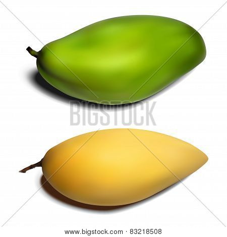 Mango set - yellow and green gradient mesh