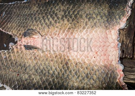 Arapaima Pirarucu skin over wooden table, top view, background