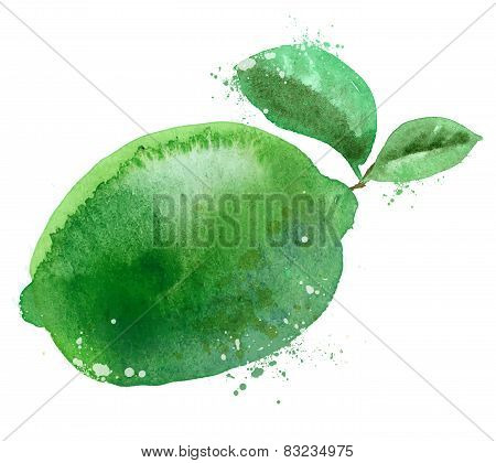 lime vector logo design template. fruit or food icon.