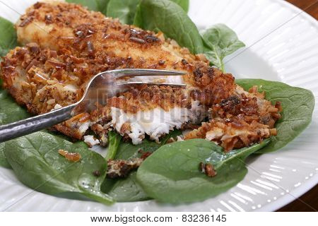 Catfish filets