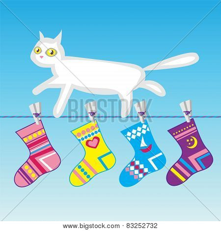 white cat on a clothes line