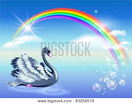 Swan And Rainbow