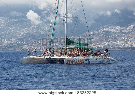 Tourists Making A Boat Trip For Whale Watching Near Madeira Island, Portugal