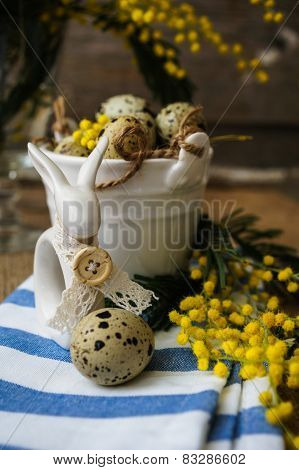 Spring Time, Yellow Mimosa Flowers