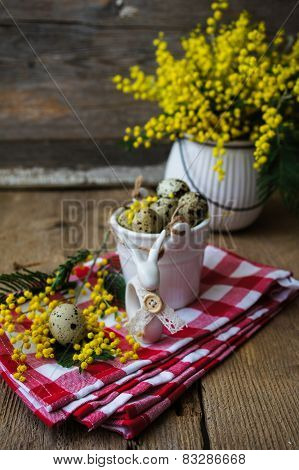 Spring Time, Yellow Mimosa Flowers