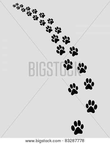 trail of cat 2