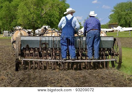 Farmers seeding grain with a horse pulled drill