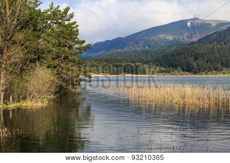 Lake View With Mountain