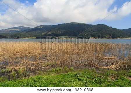 Lake Along Mountain