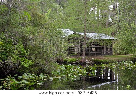 An Old Barn in the Swamp