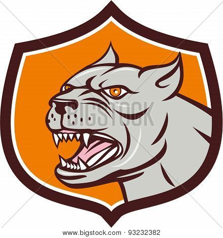 Pitbull Dog Mongrel Head Shield Cartoon