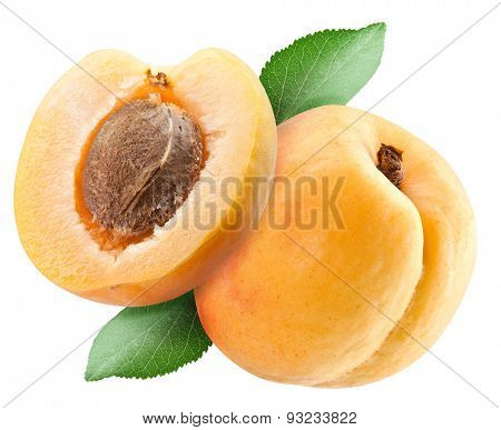 Ripe appricots. File contains clipping paths.
