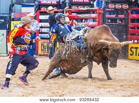 Last Cowboy Standing