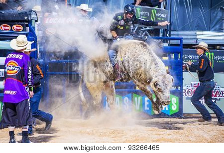 Last Cowboy Standing