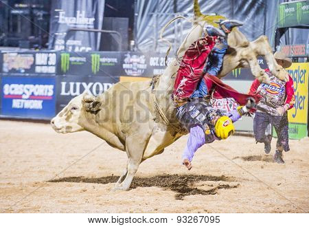 Last Cowboy Standing