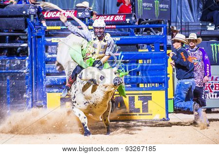 Last Cowboy Standing