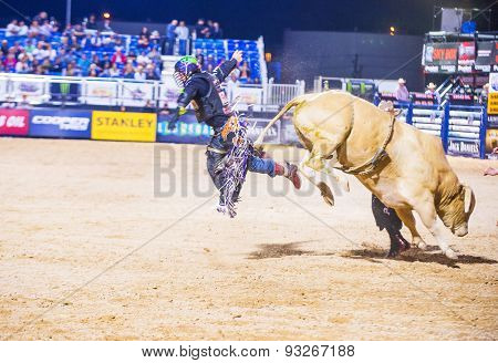 Last Cowboy Standing