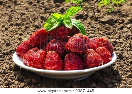 strawberry