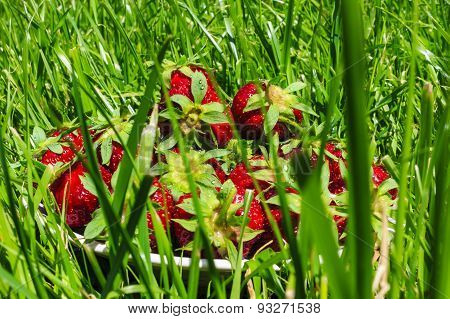 strawberry
