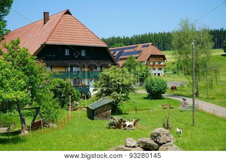 Two Country Houses In The Black Forest