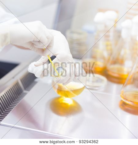 Life science researcher grafting bacteria.
