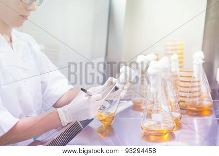 Life science researcher grafting bacteria.