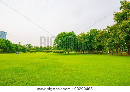 Green Public Park Outdoor With Tree And  Sky
