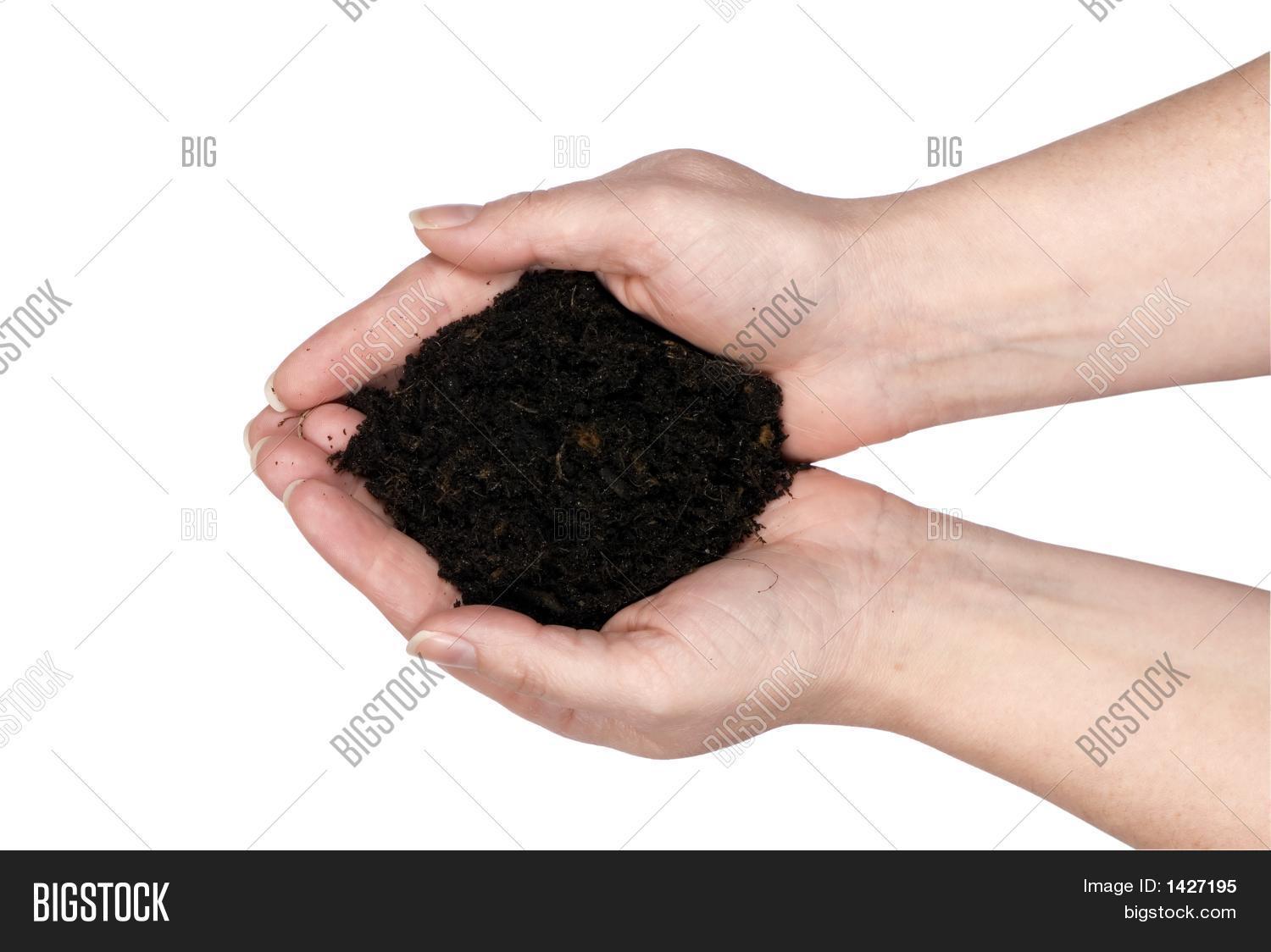 Two Hands Holding Dirt Image & Photo (Free Trial) Bigstock