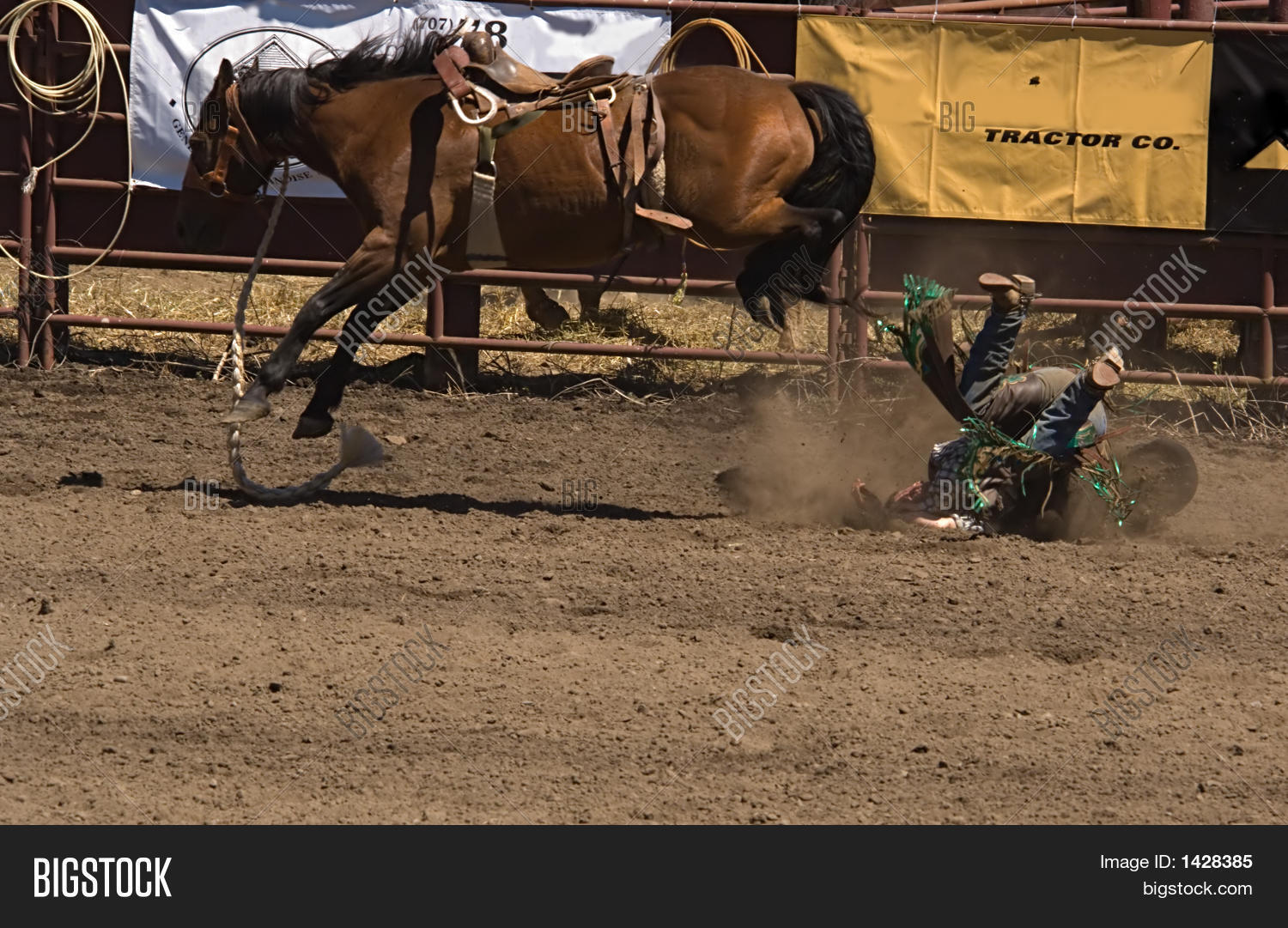 Fallen Bronc Rider Image & Photo (Free Trial) | Bigstock