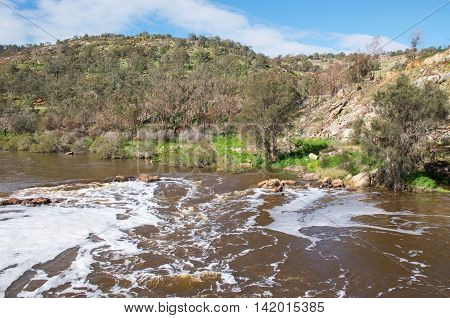 Lush greenery and rushing waters at the Bell Rapids of the Swan and Avon River intersection in the Swan Valley in Western Australia.