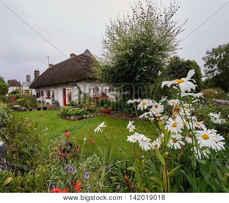 Traditional thatched cottage with a beautiful garden in Adare Ireland