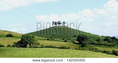 Colmer's Hill near village of Symondsbury in Dorset England
