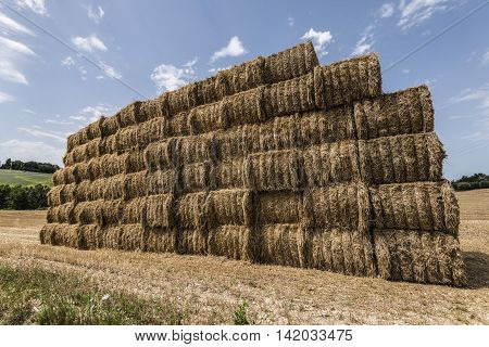 hay and straw bales piles it the countryside