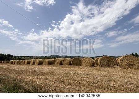 hay and straw bales piles it the countryside