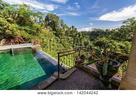 Infinity pool on terrasse overlooking the wild forest