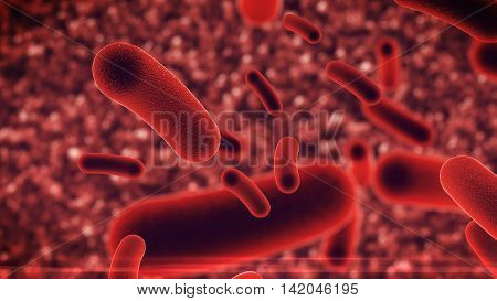 Bacteria Virus Under Microscope