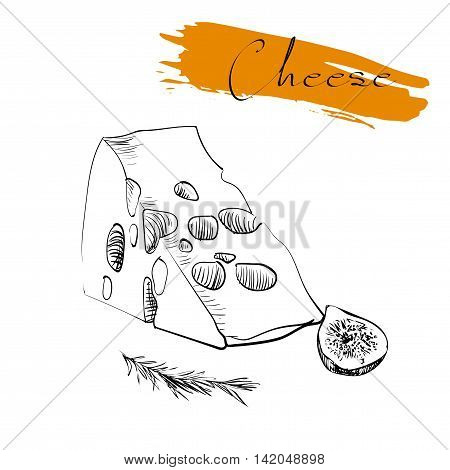 Cheese types. Delicious fresh cheese variet cheese making various types of cheese of vector cheese Vector organic food illustration. on a white background