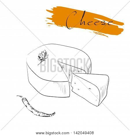 Cheese types. Delicious fresh cheese variet cheese making various types of cheese of vector cheese Vector organic food illustration. on a white background