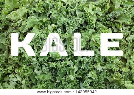 Kale Text Over Shredded Kale Leaves Background