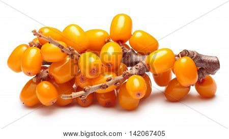 Branch Of Sea Buckthorn Berries, Clipping Paths