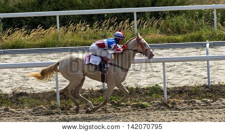Horse race for the traditional prize Big Letni in Pyatigorsk,the largest in Russia.