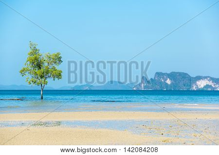 Klong Muang beach in Krabi province Thailand