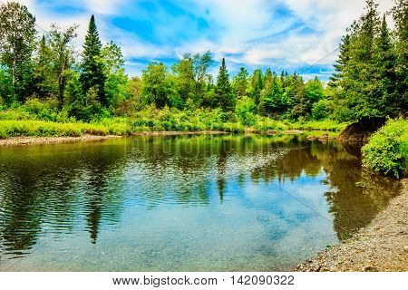 A slow moving stream in the North Maine Woods during Summer.