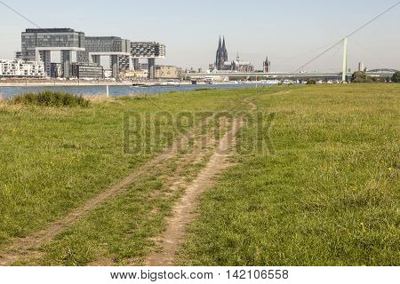 Green meadow on the right bank of the Rhine River in Cologne Germany
